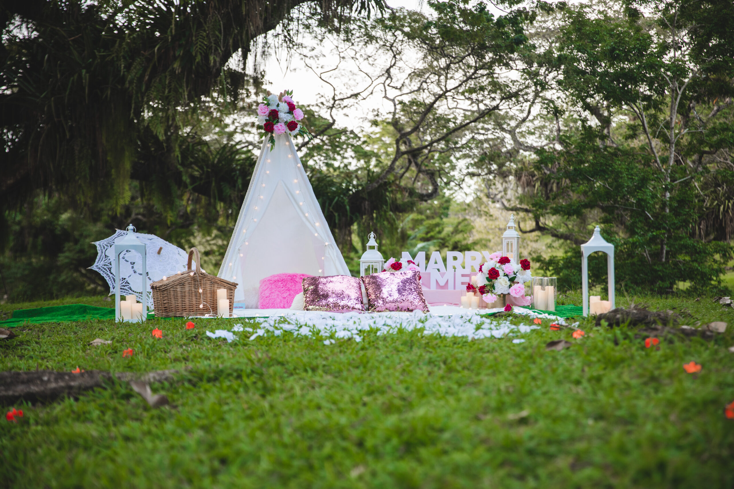 Romantic picnic proposal in Trinidad and Tobago