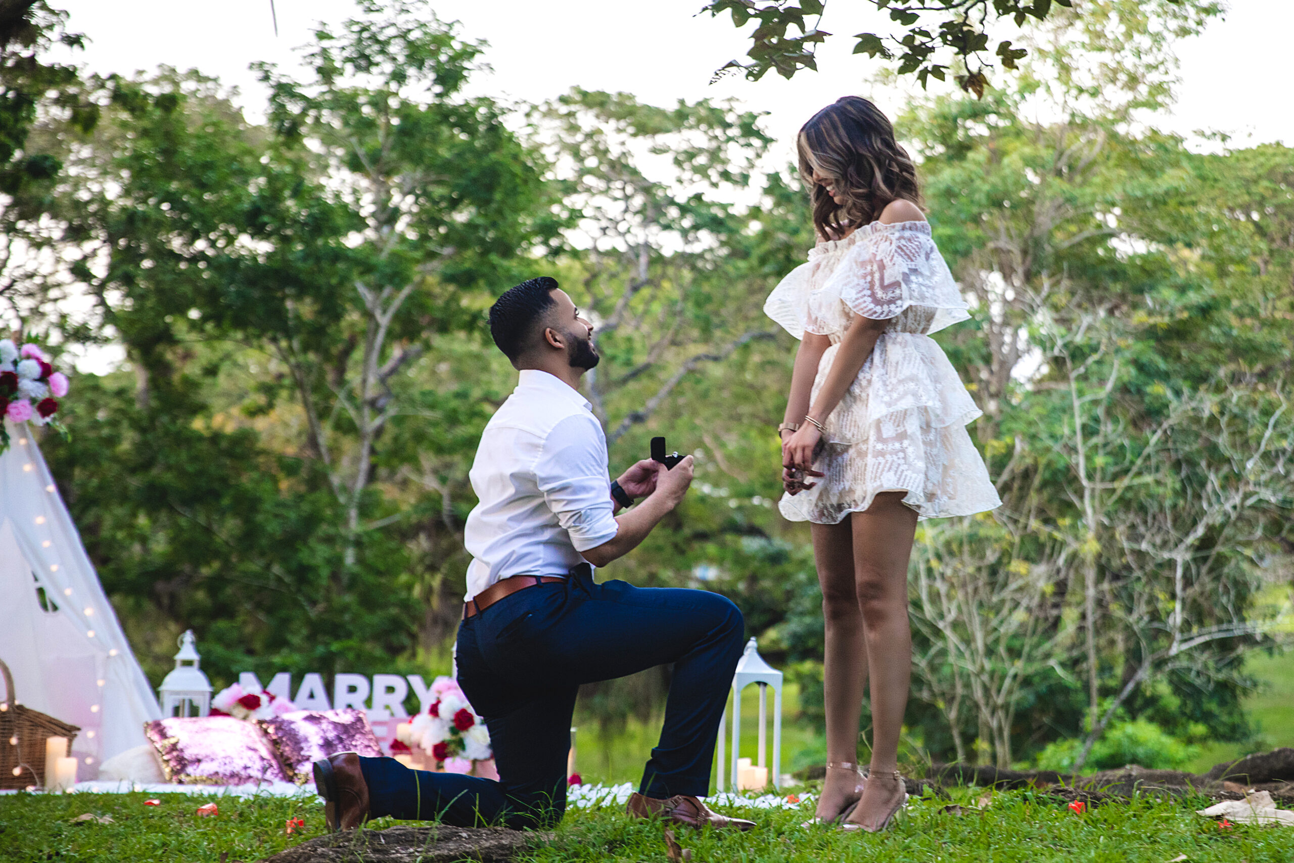 Read more about the article Beautiful Picnic Proposal at Palmiste Park