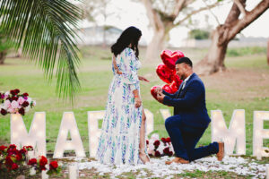 proposals at Palmiste Park