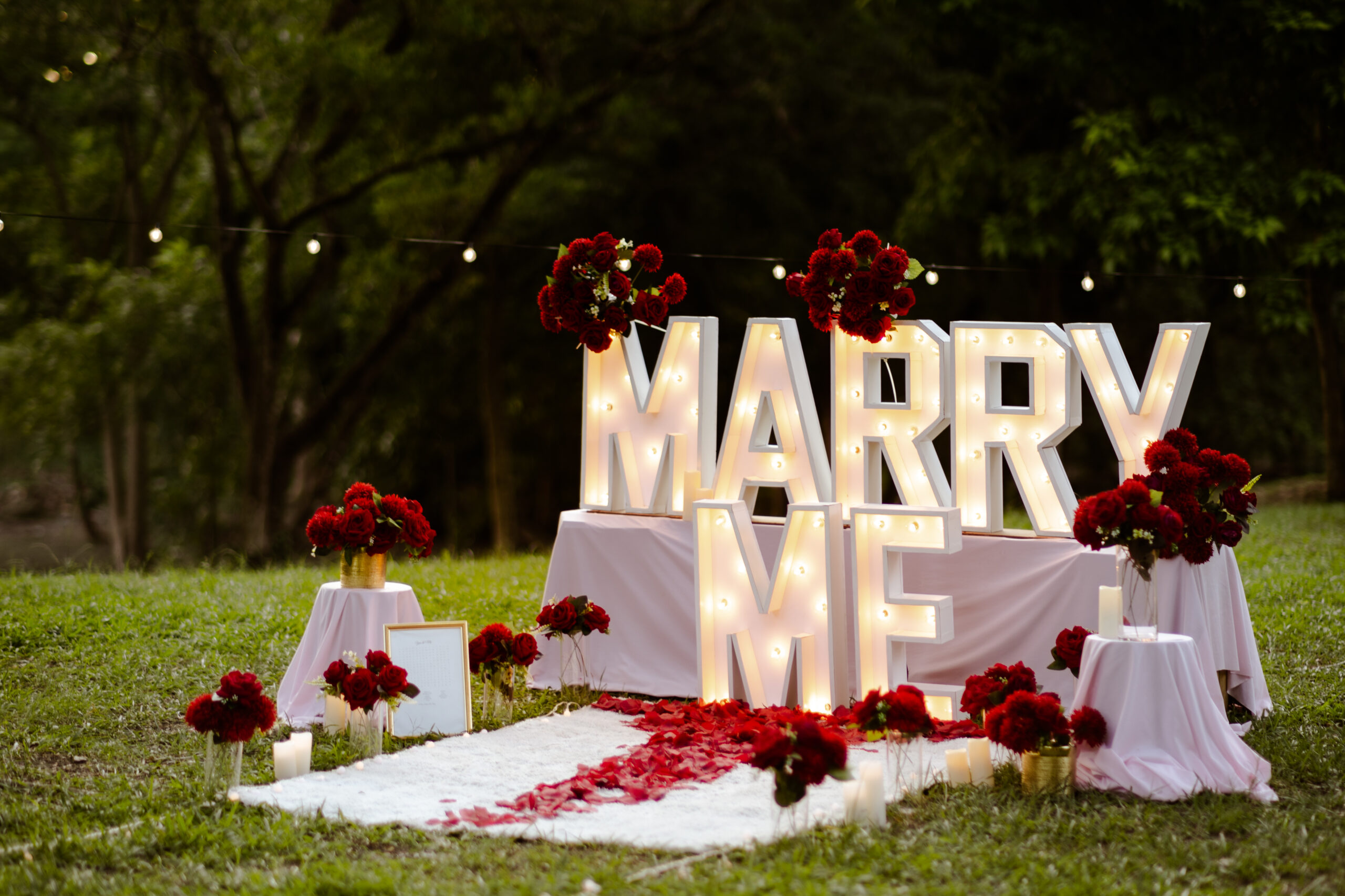 Romantic proposal at Palmiste Park Trinidad