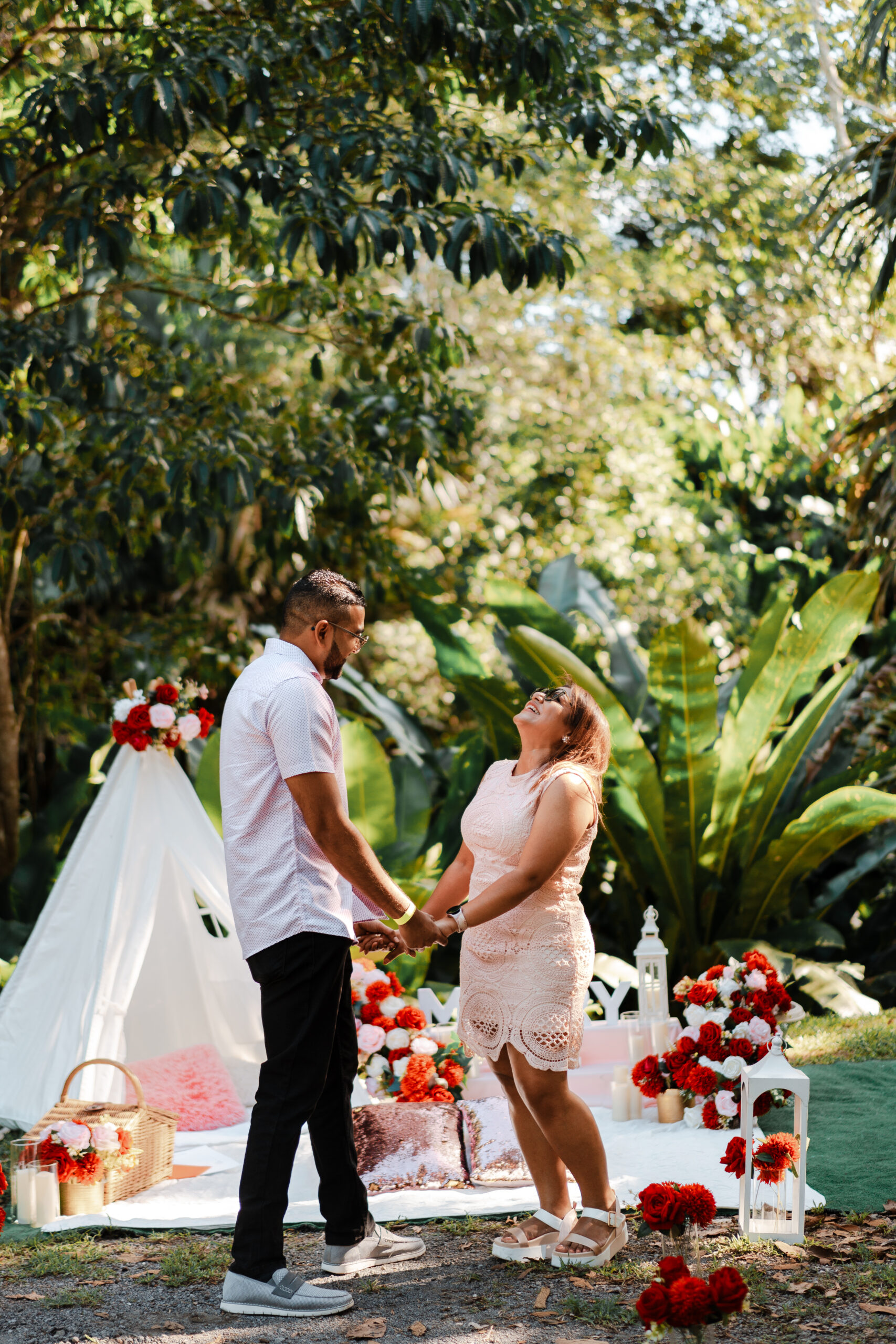 la vega estate romantic picnic proposal