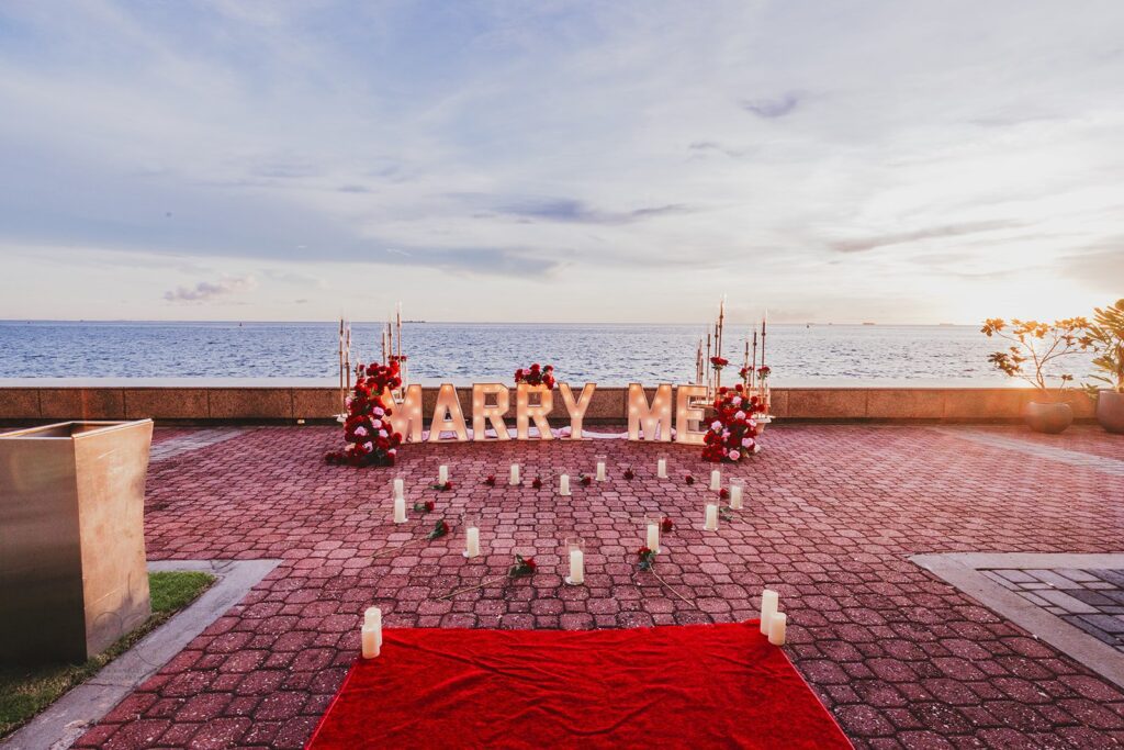 Cyle's Proposal to Aalia