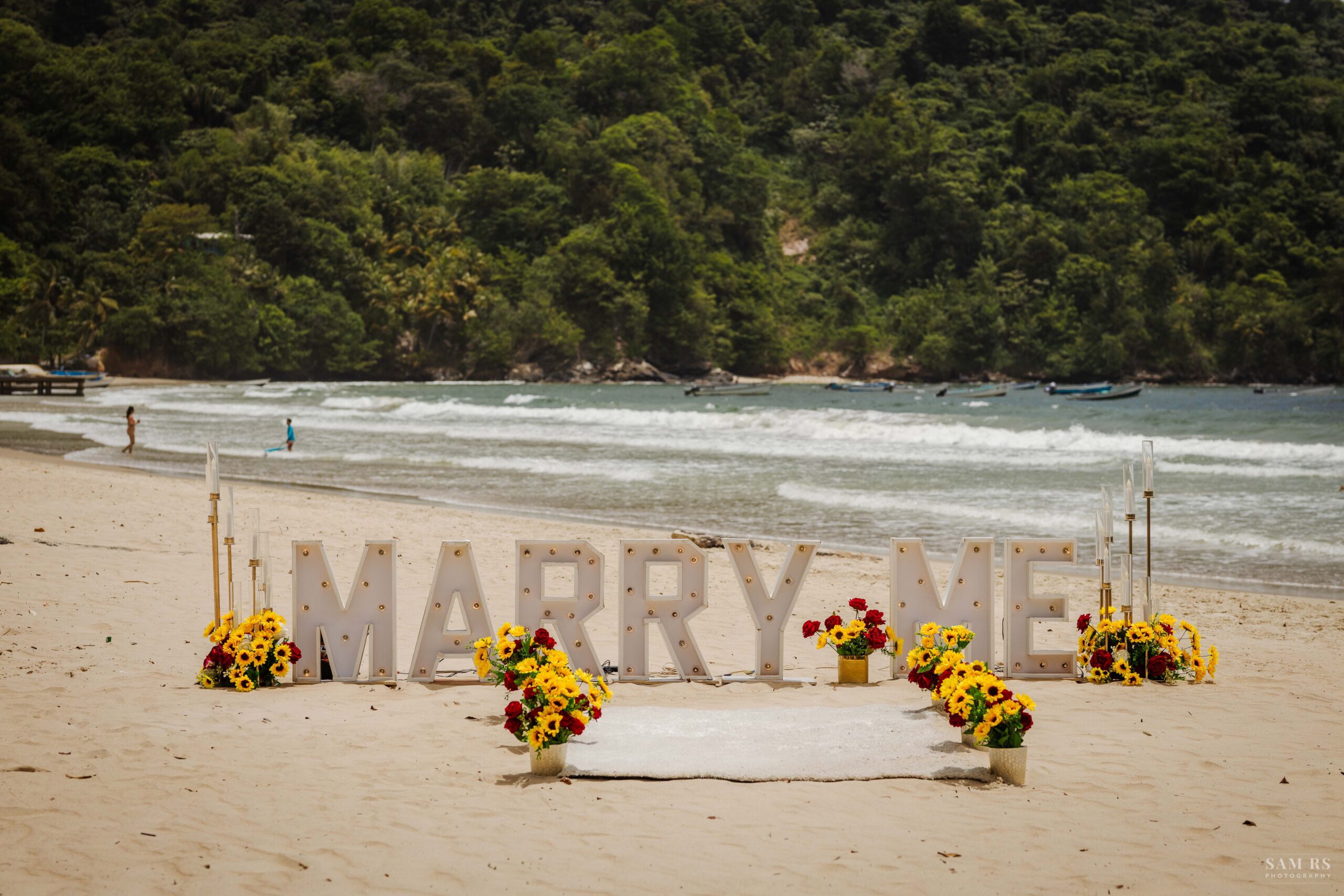 Devon Kissun - Proposal 1