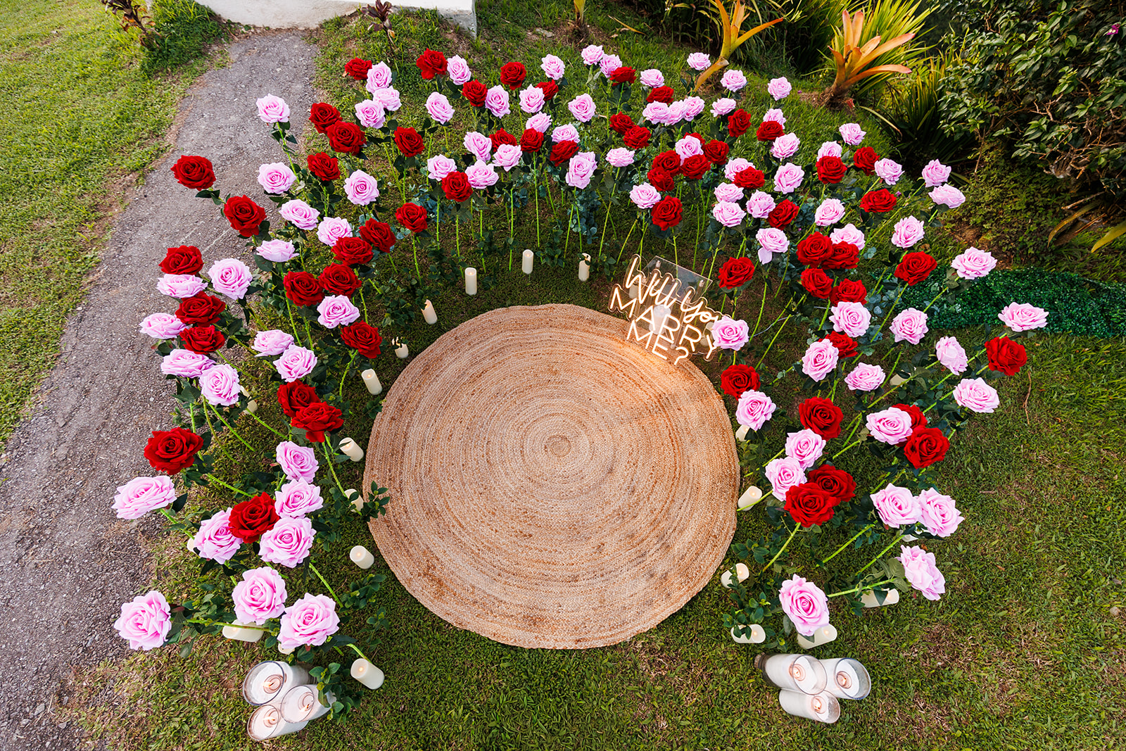 Read more about the article Love in Bloom: Rose Garden Proposal